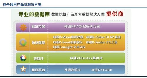 國內(nèi)外市場上數(shù)據(jù)庫系統(tǒng)的主要產(chǎn)品及其功能概覽